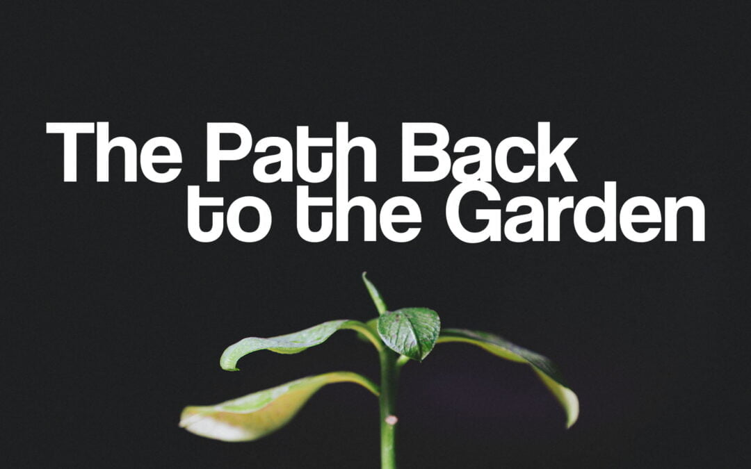 Sunday Celebration (08/27/2024)