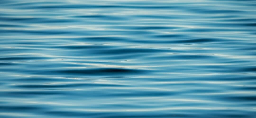 Sunday Celebration (07/21/2024)