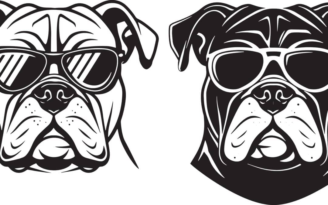 A Weak Pastor and a Strong King